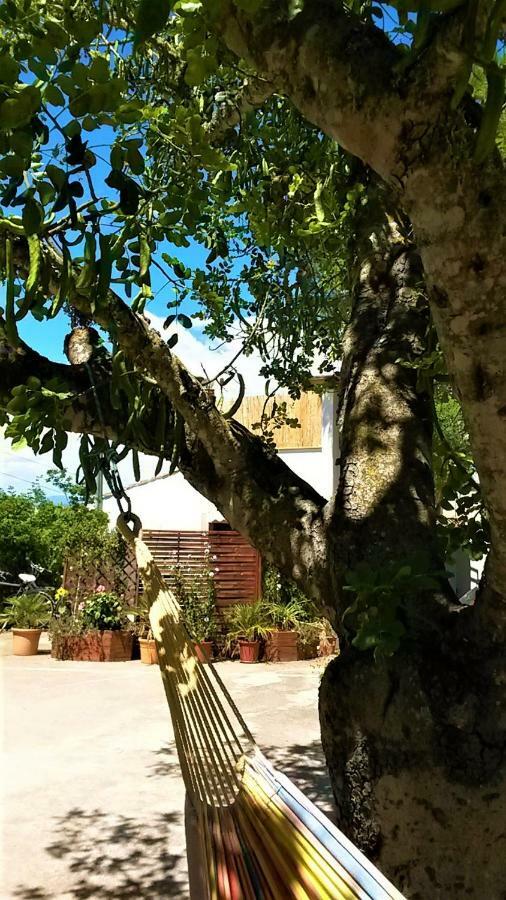 فيلا La Casita ماناكور المظهر الخارجي الصورة