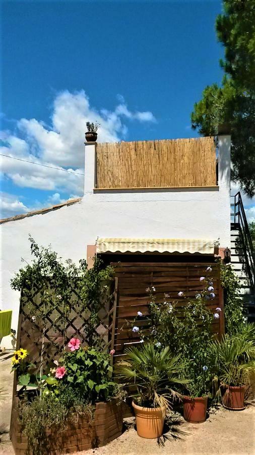 فيلا La Casita ماناكور المظهر الخارجي الصورة